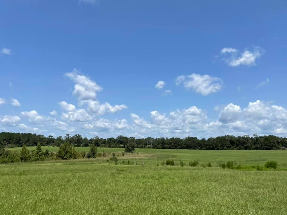 METES & BOUNDS - Farm