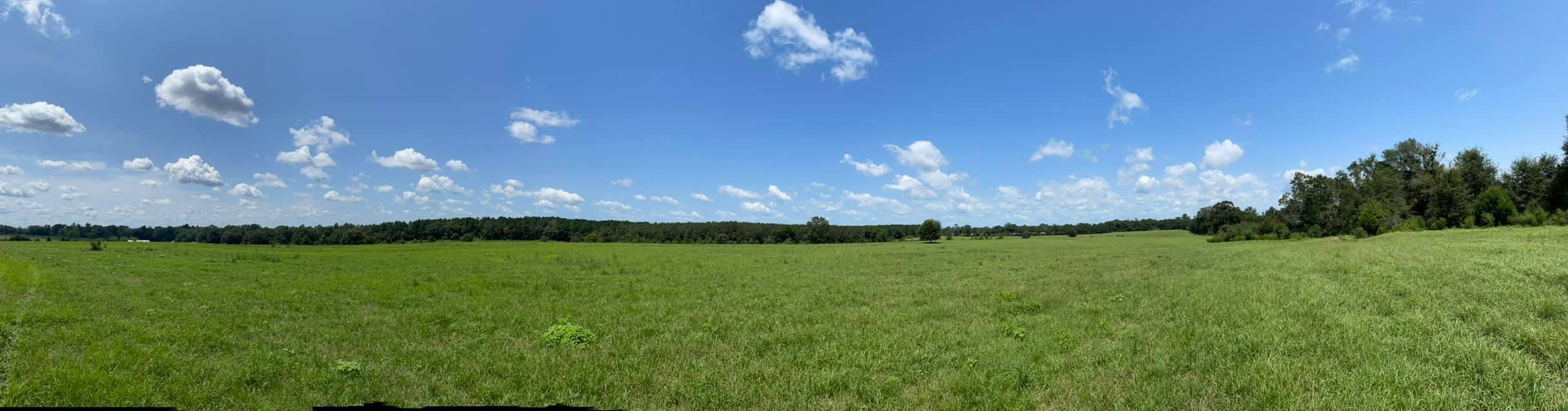 METES & BOUNDS - Farm