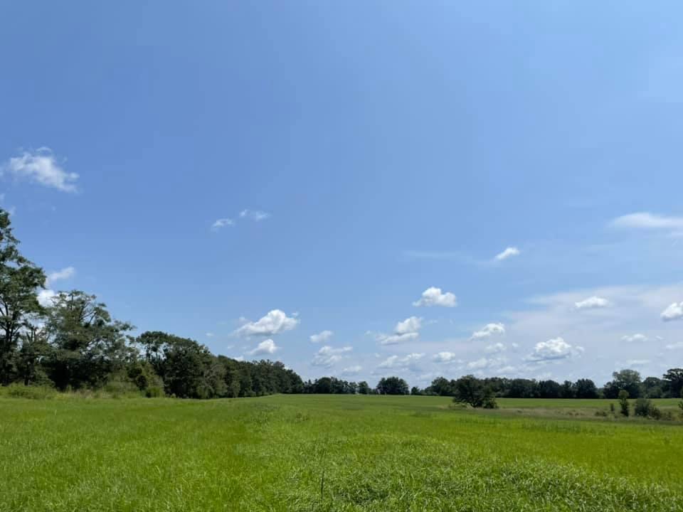 METES & BOUNDS - Farm