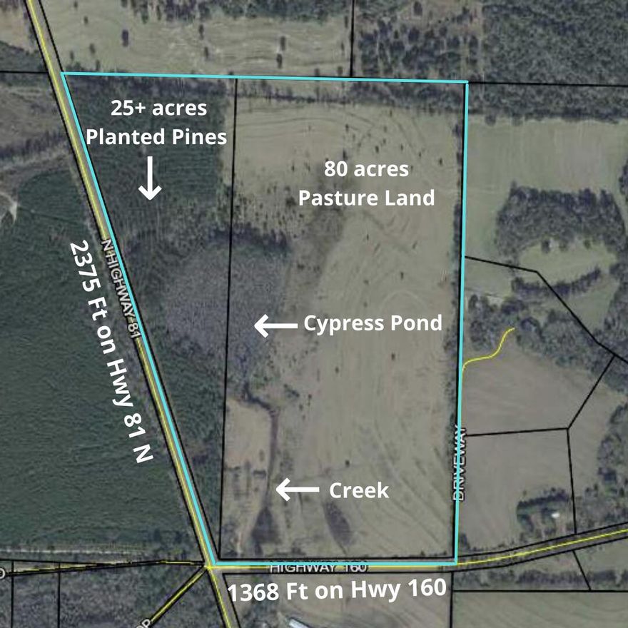 This property has so many highlights, starting with it being a 110 acre corner parcel with  2375 ft on Hwy 81 N (paved highway) and 1368 ft on Hwy 160 (paved highway). These two parcels have a total of 25 + acres of planted pines, 80+/- acres pasture land, a creek and a 10 +/- cypress pond area! There is already a well, septic tank and power pole in place ready for you to build your dream home. Make this your getaway place, farm or estate today!!!