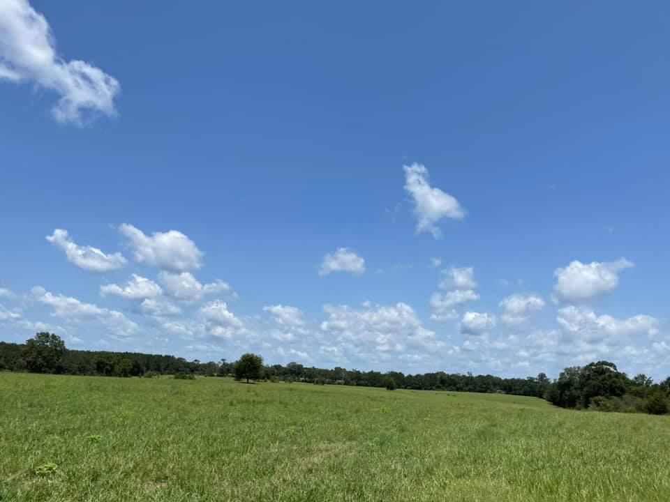 METES & BOUNDS - Farm