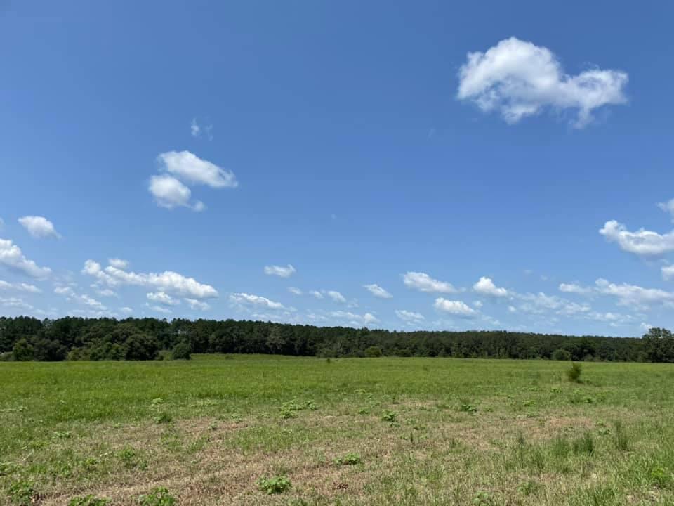 METES & BOUNDS - Farm