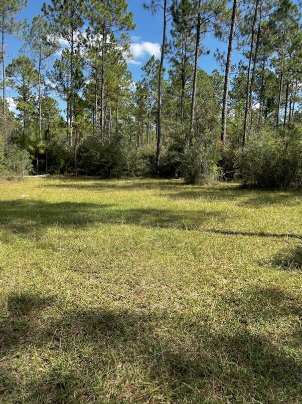 WALTON PLANTATION - Residential