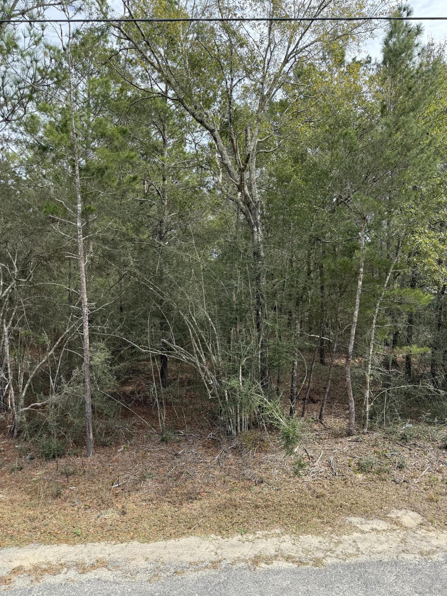 This 0.35-acre lot on W Picasso Circle in DeFuniak Springs is the perfect spot for a new home or mobile home. With paved road access, electric, and public water available, this lot is ready for development in a growing residential area. Located just minutes from I-10, schools, shopping, and historic downtown, it offers both privacy and convenience. The adjacent lot is also available, making this a great opportunity to secure extra space for expansion or investment. Don't miss out--claim your piece of charming Defuniak Springs today!