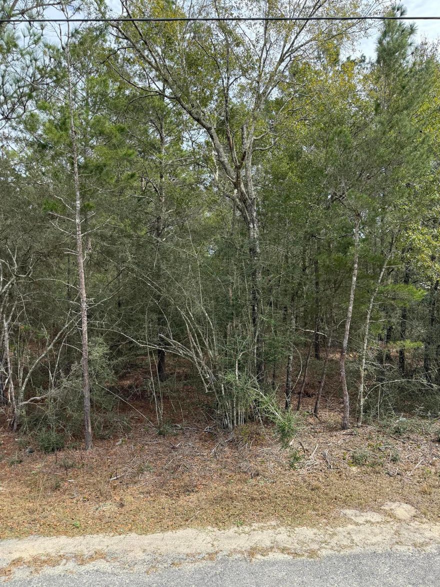 This 0.35-acre lot on W Picasso Circle in DeFuniak Springs is the perfect spot for a new home or mobile home. With paved road access, electric, and public water available, this lot is ready for development in a growing residential area. Located just minutes from I-10, schools, shopping, and historic downtown, it offers both privacy and convenience. The adjacent lot is also available, making this a great opportunity to secure extra space for expansion or investment. Don't miss out--claim your piece of charming Defuniak Springs today!