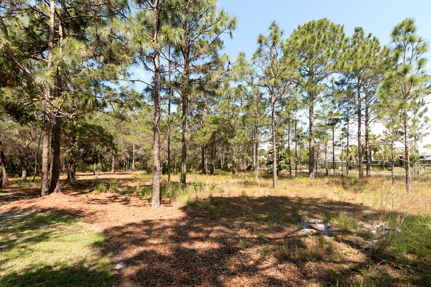 If you desire an estate sized lot within the exclusive gated community of Burnt Pine within Sandestin Golf and Beach Resort - this is it! Floor plans included in this listing for a 8,939 sf estate! Owner offers to complete these plans as part of the purchase price. Possible build to suit opportunity. This lot offers one of the most secluded and quietest locations in all of Burnt Pine. Sandestin amenities include 73 holes of golf, tennis, fishing, a 98-slip marina, nature and biking trails, a full service health club & spa, playground and more! No build-out requirements. No builder requirements. Owner is a licensed real estate