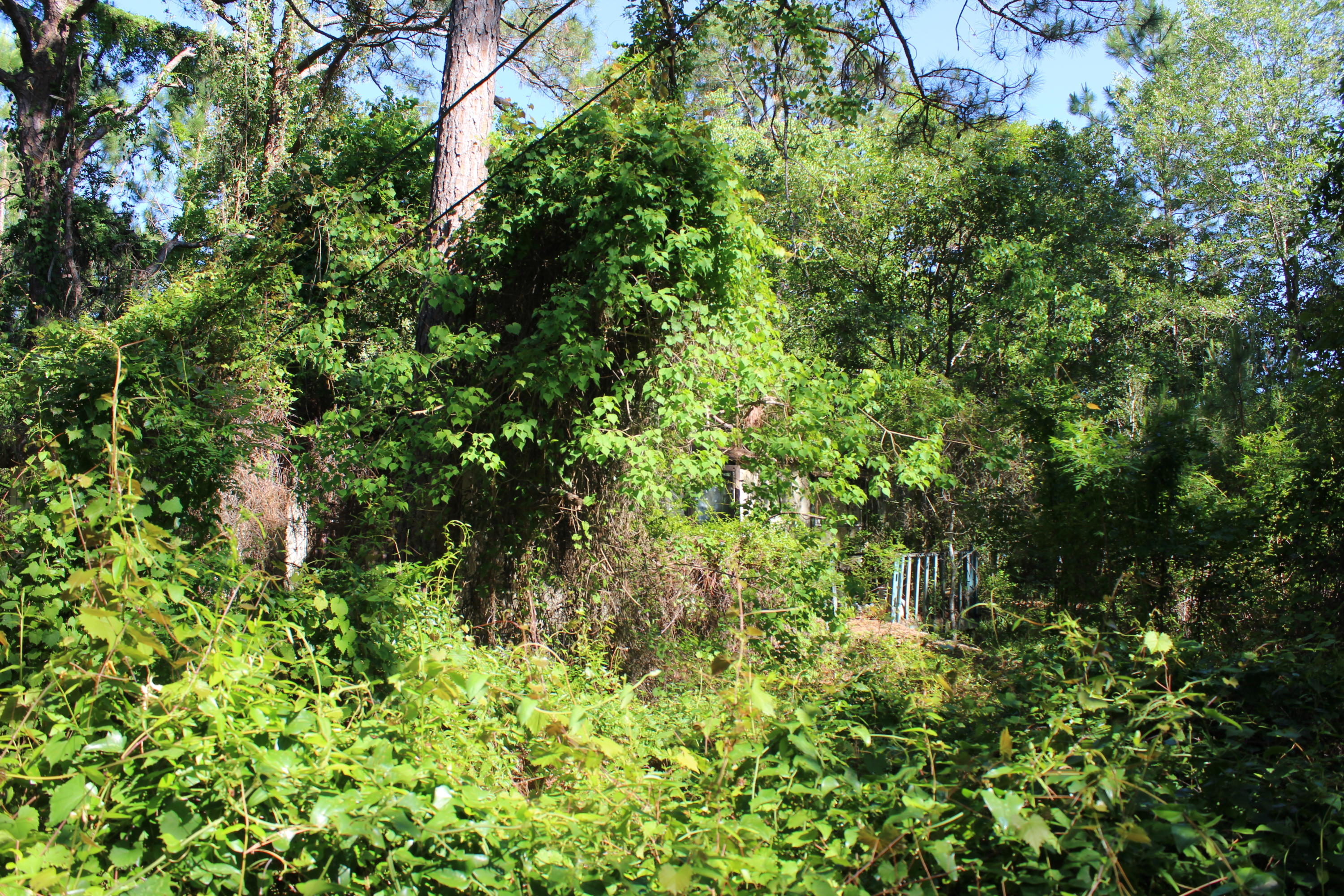 SEROSA ESTATES - Land