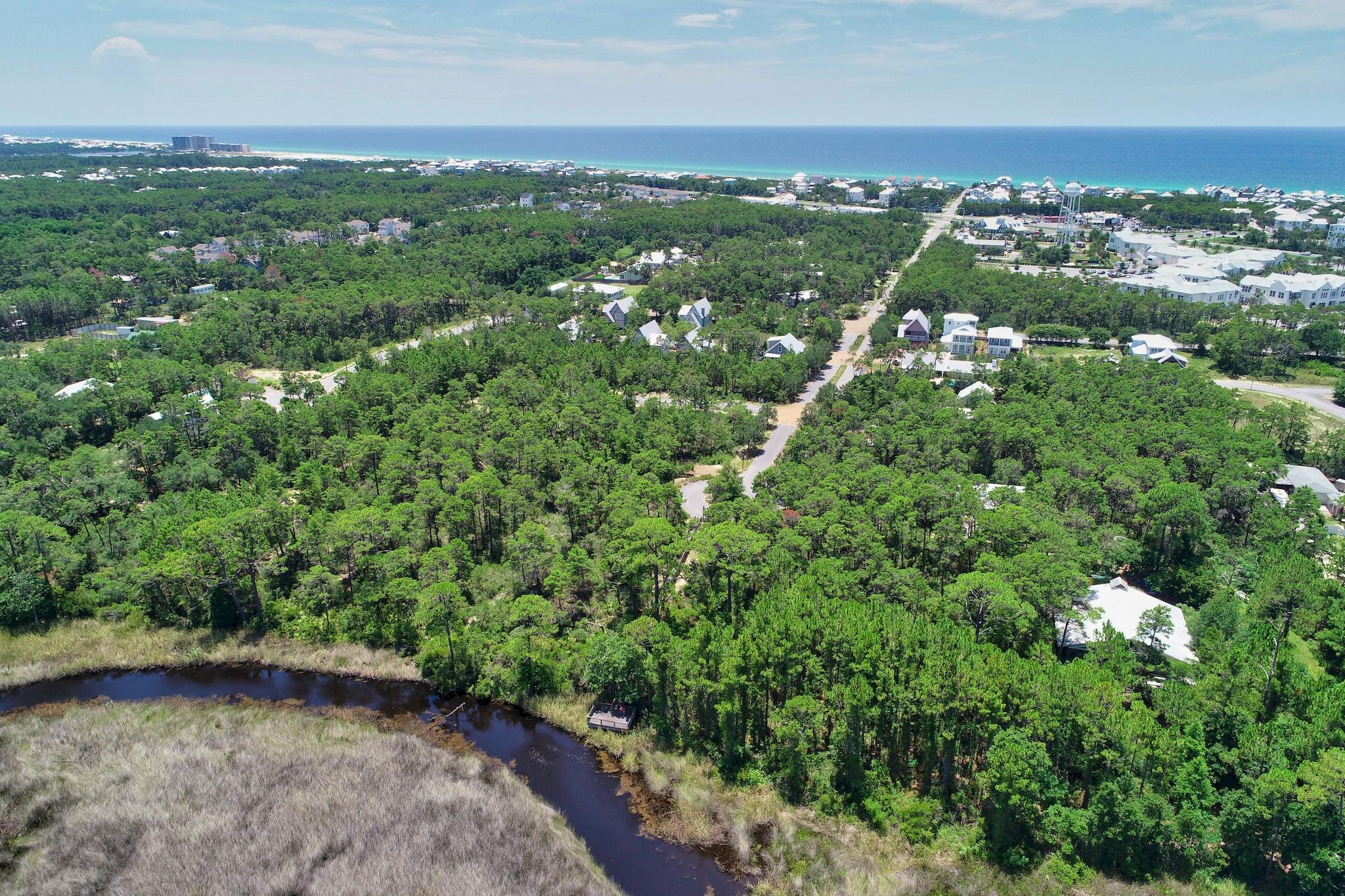 THE PRESERVE AT INLET BEACH - Residential