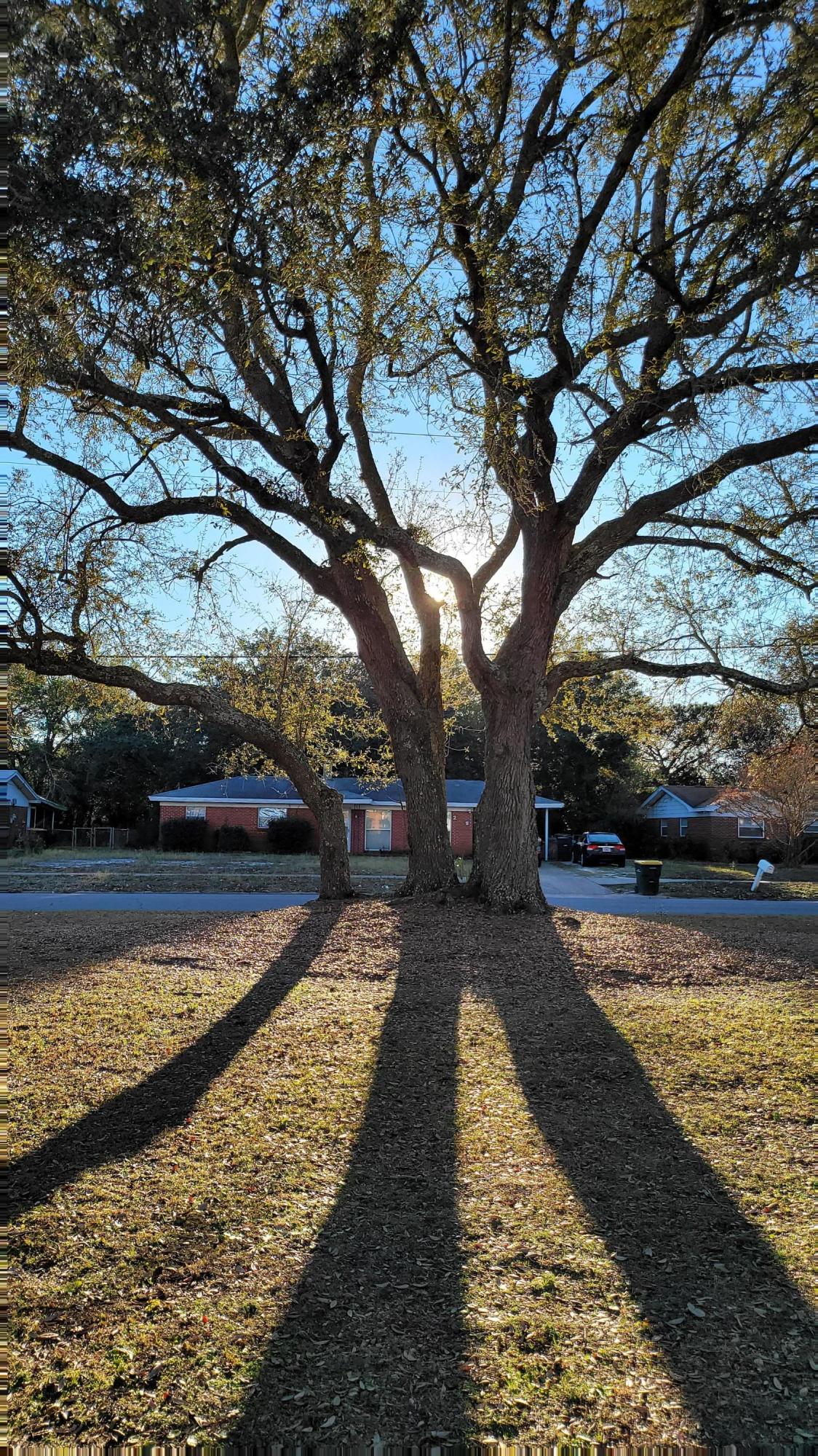 SANTA MARKELLA - Residential