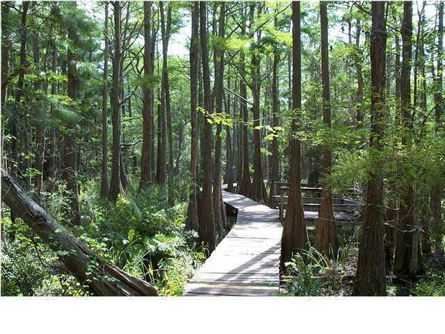 Cassine Village - Residential