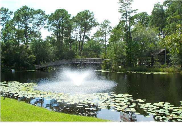 Cassine Village - Residential