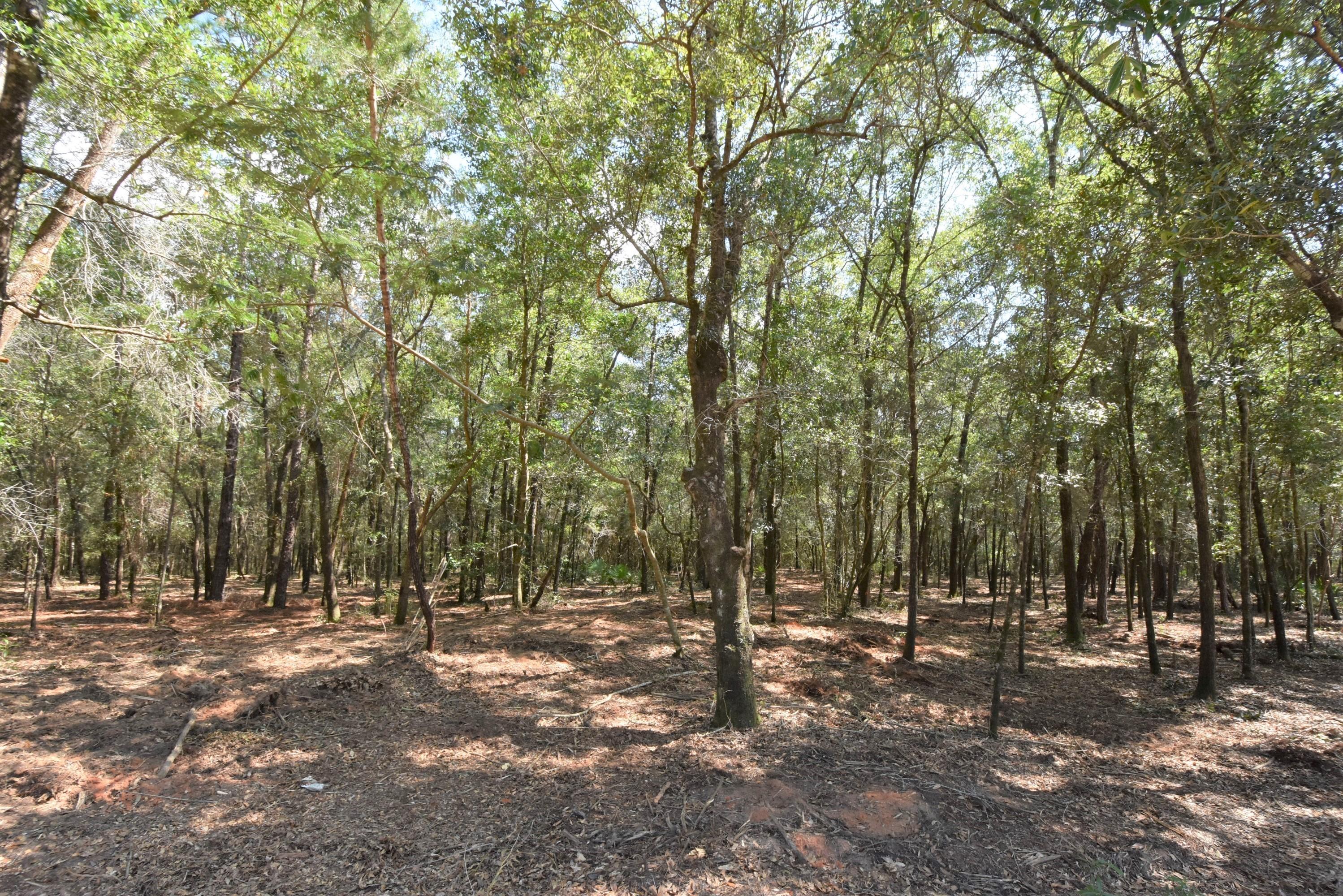 Metes and Bounds legal description - Land