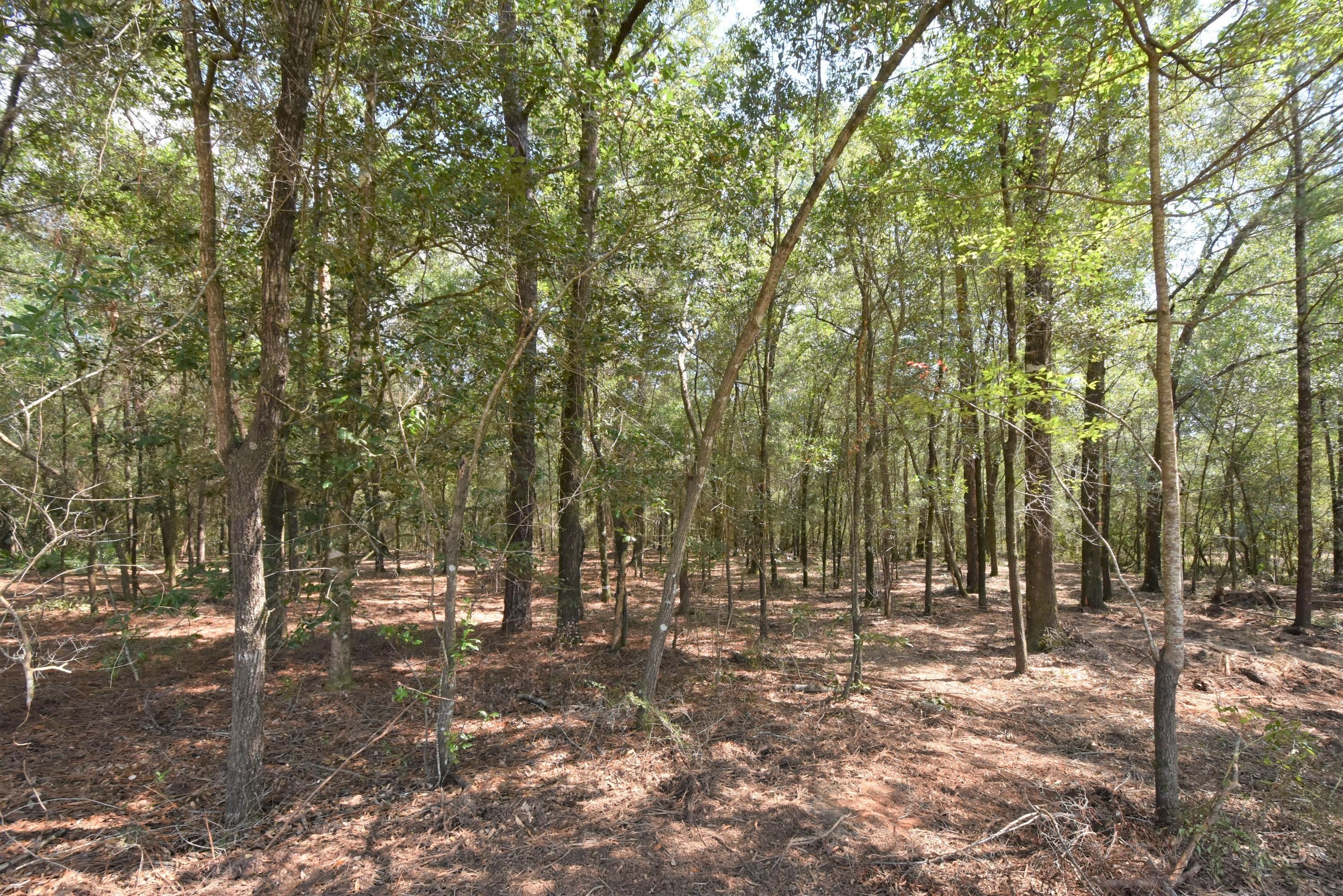 Metes and Bounds legal description - Land