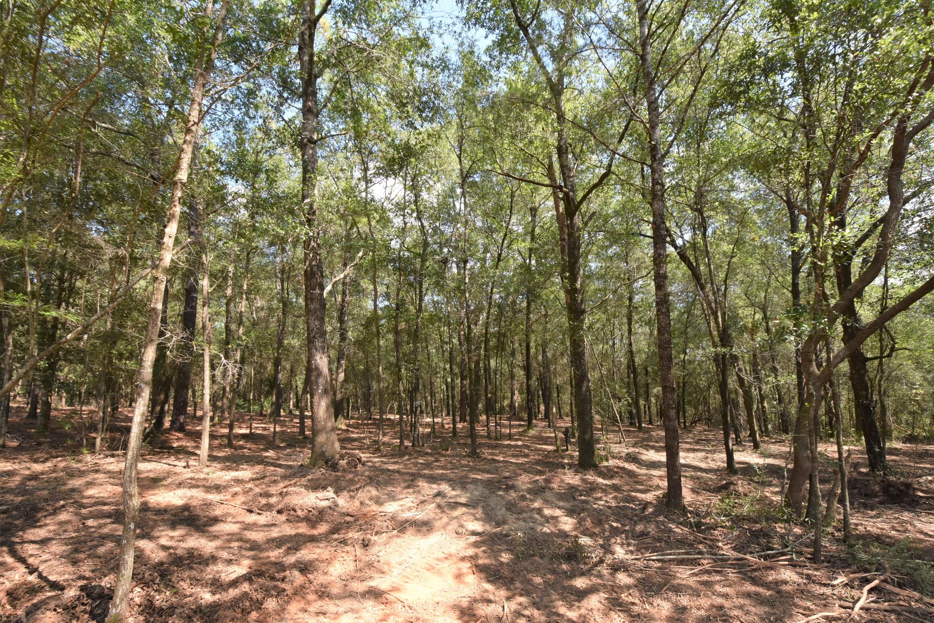 Metes and Bounds legal description - Land