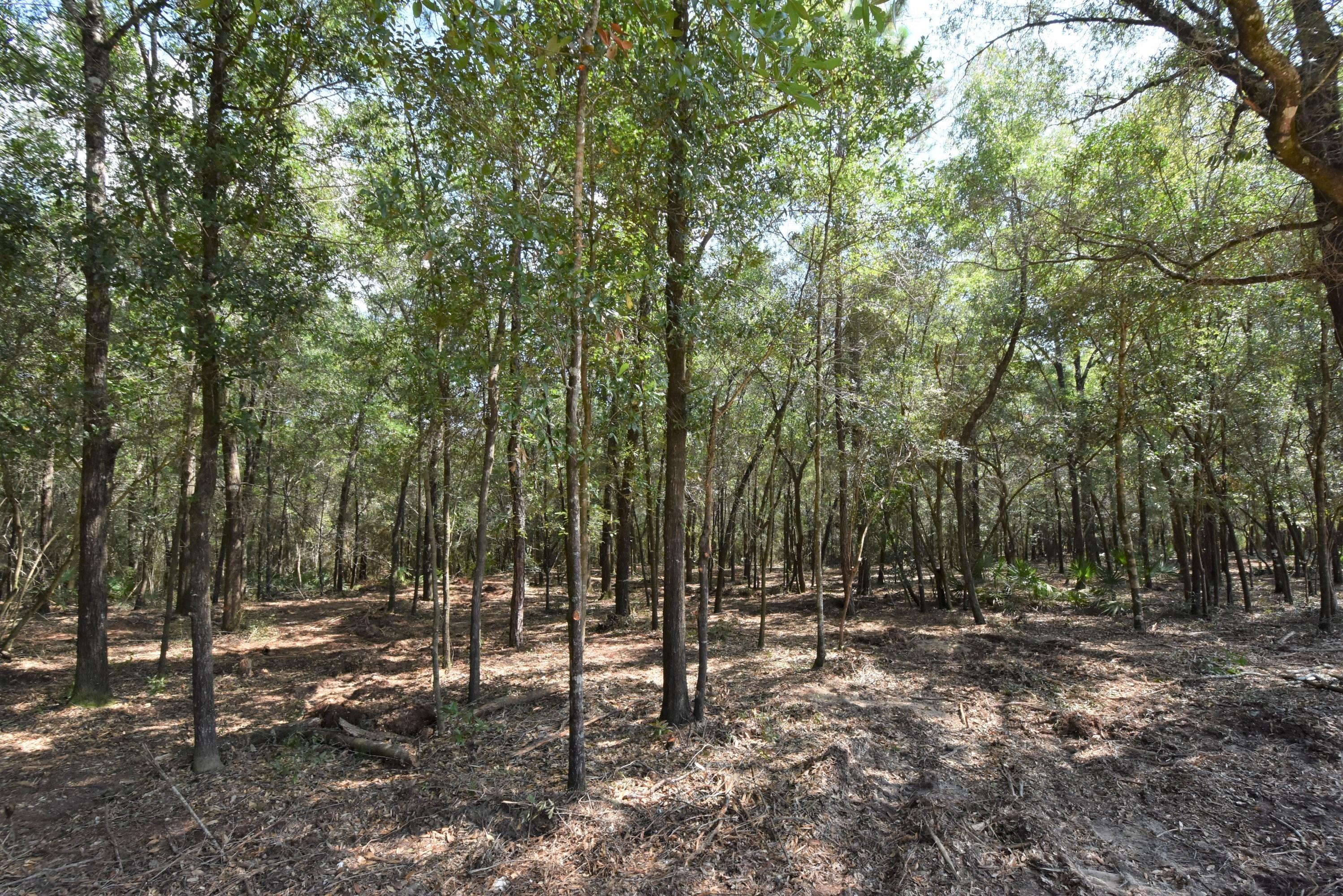 Metes and Bounds legal description - Land