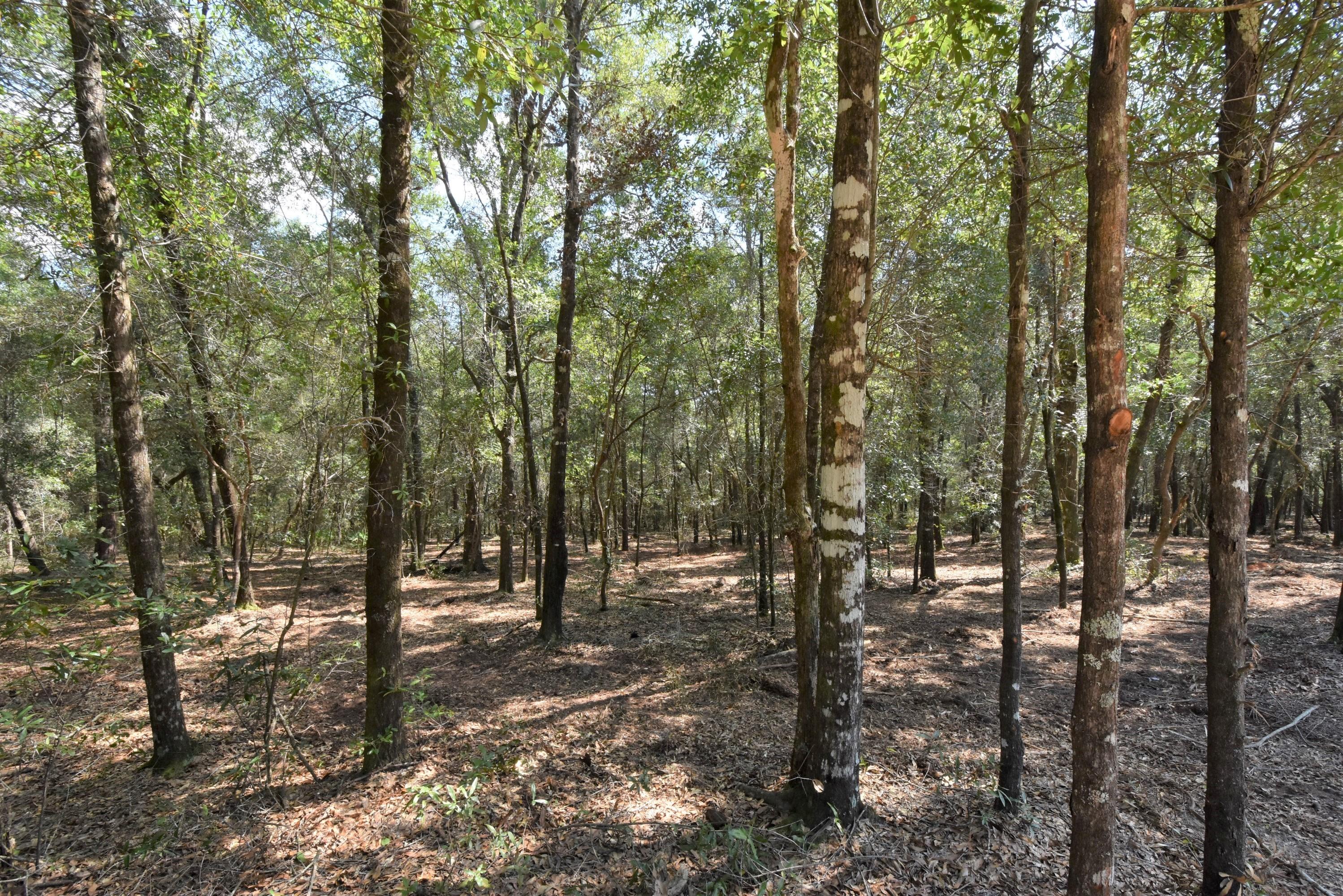 Metes and Bounds legal description - Land