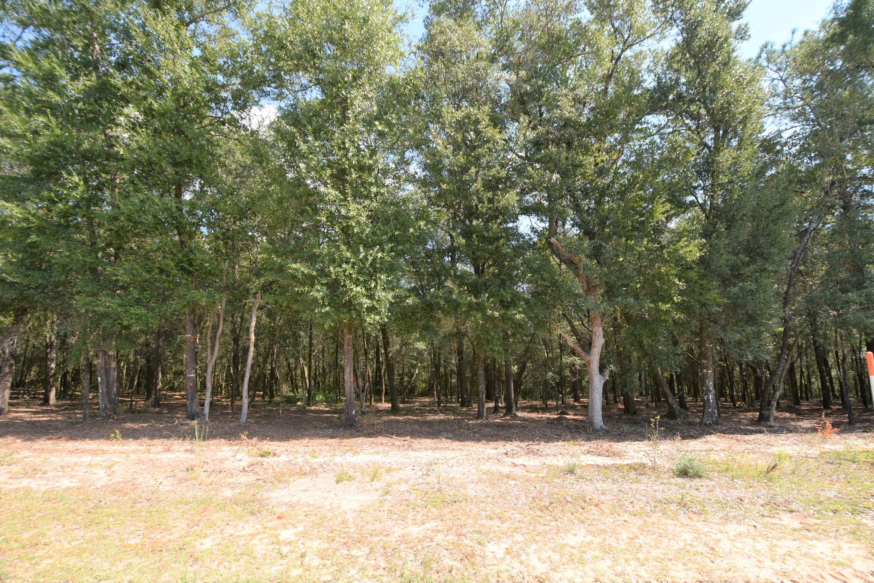 Metes and Bounds legal description - Land