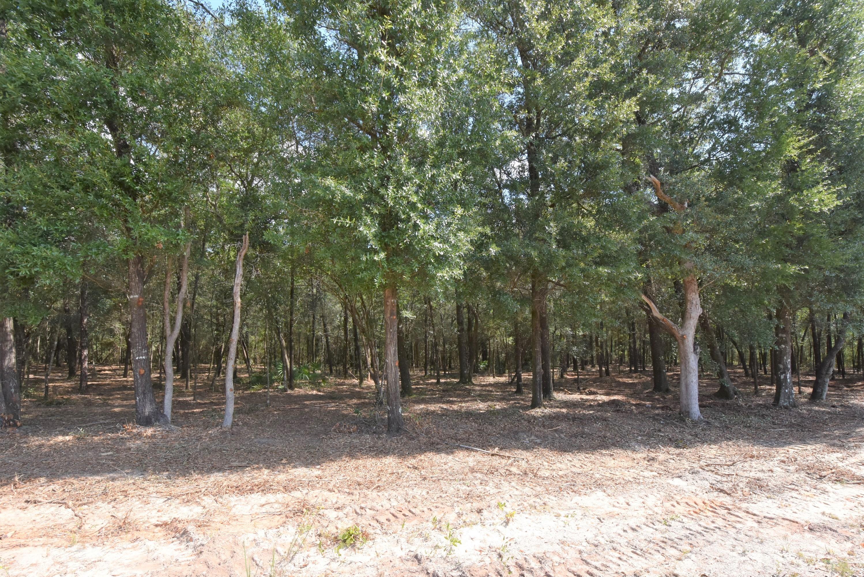 Metes and Bounds legal description - Land