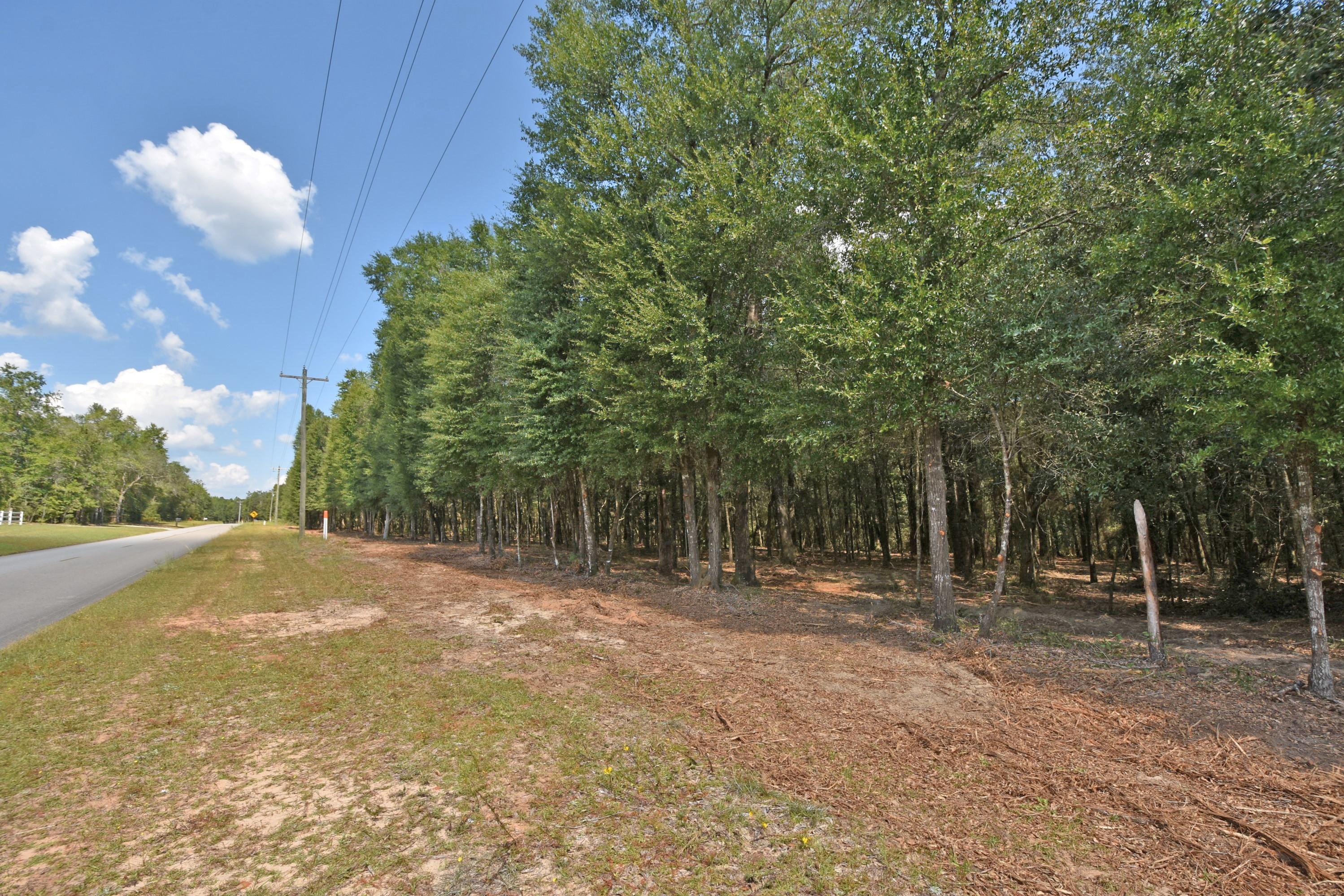 Wooded 4 Acres of land and recently cleared underbrush. The perfect place for you new home with abundant wild life. Excellent habitat near the Yellow River Watershed for: Deer, Turkey, and Wild Hogs; just to name a few! View this beautiful acreage today! Exact dimensions to be determined once new survey is completed. Utilities are available but not on site. Owner may consider financing with 10% down. Deed restricted to no mobile homes (homes that are delivered with a VIN). Modular homes may be allowed.