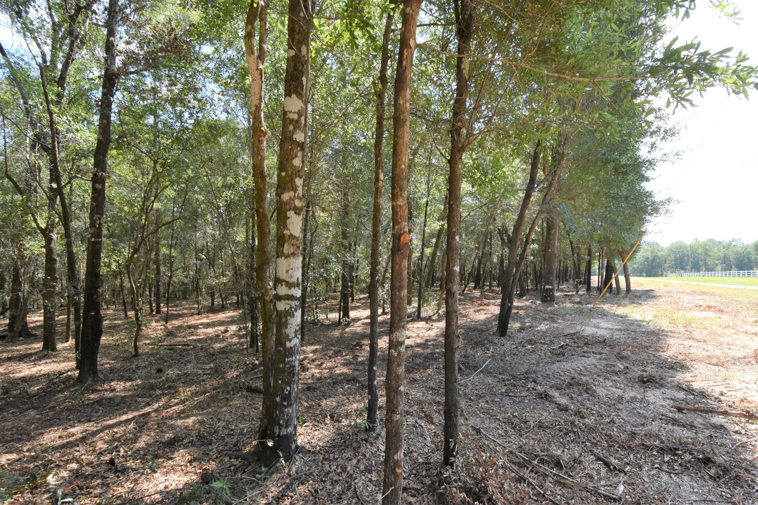 Metes and Bounds legal description - Land