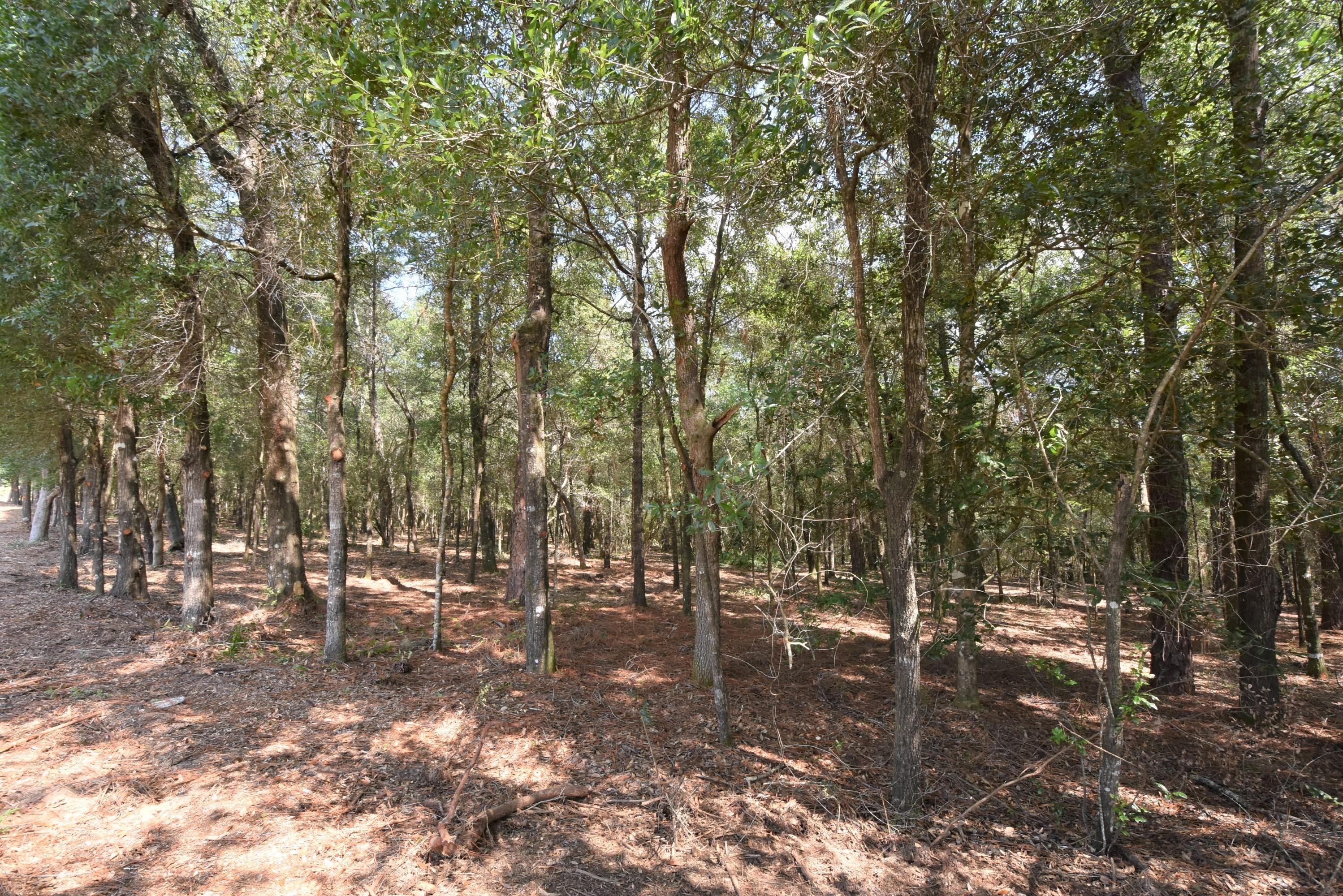 Metes and Bounds legal description - Land