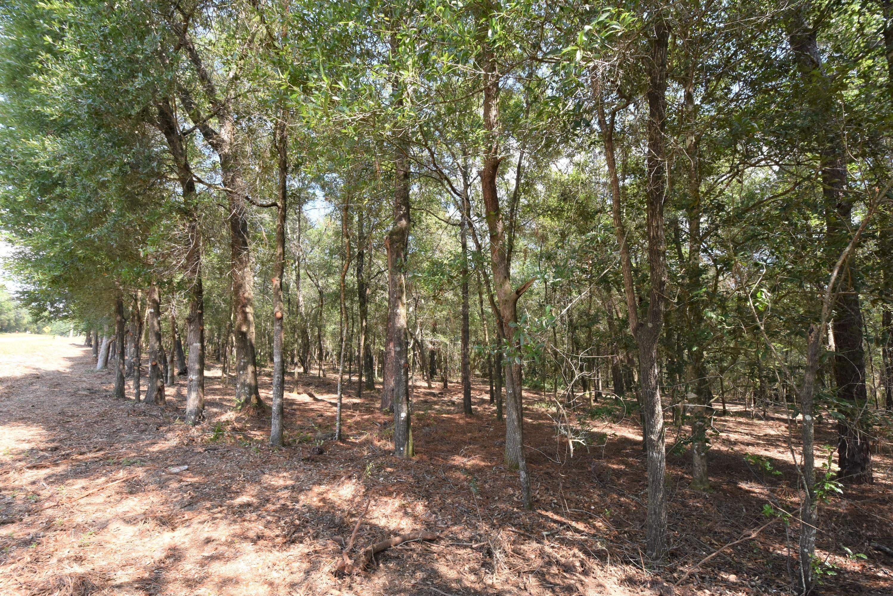 Metes and Bounds legal description - Land