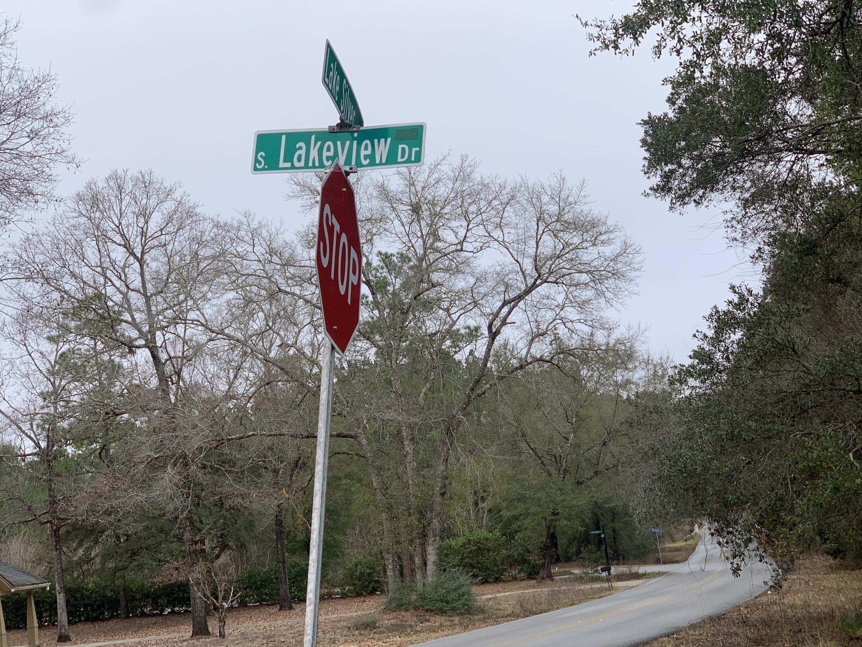 LAKESILVER SILVER WD - Land