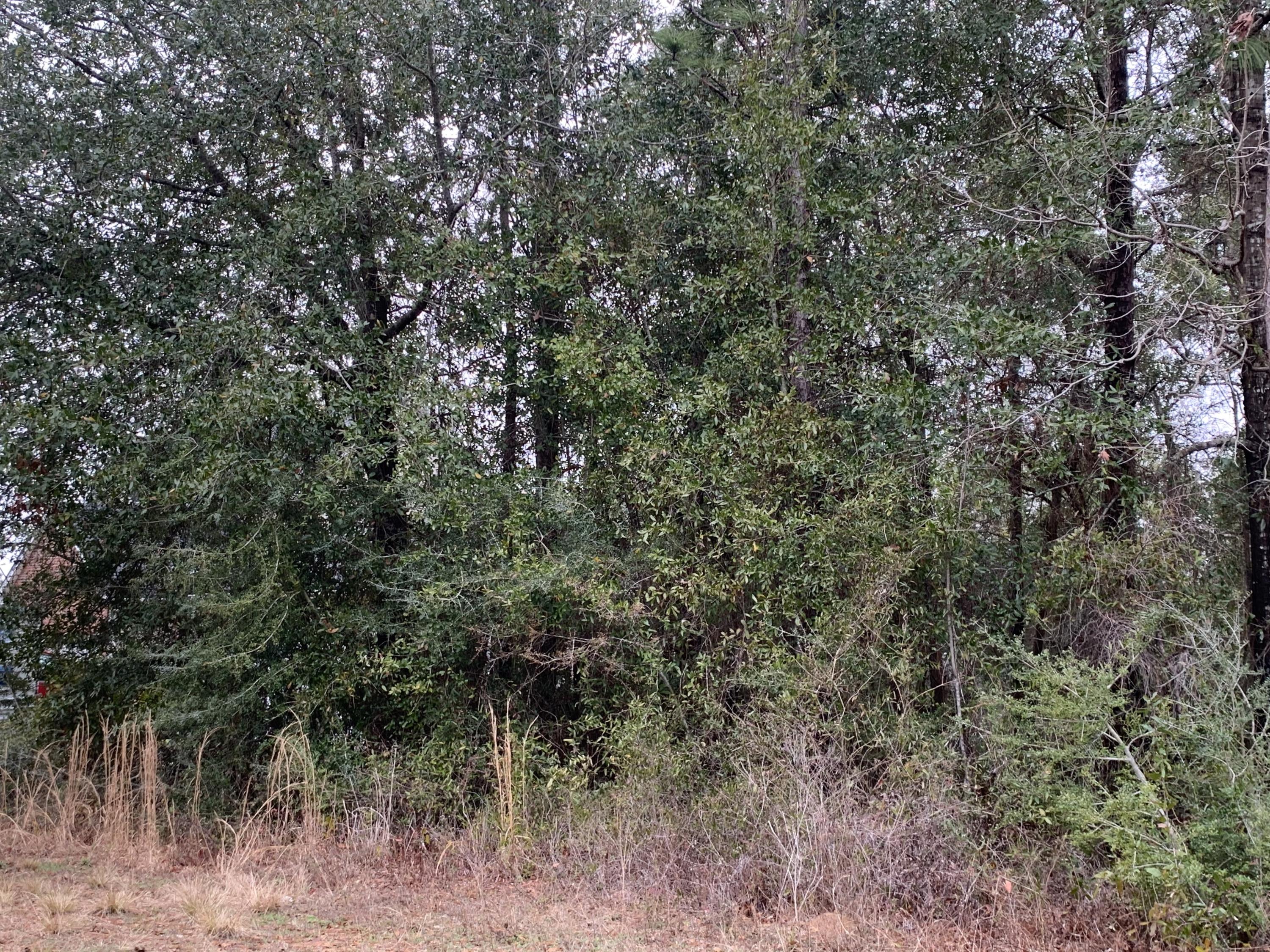 LAKESILVER SILVER WD - Land