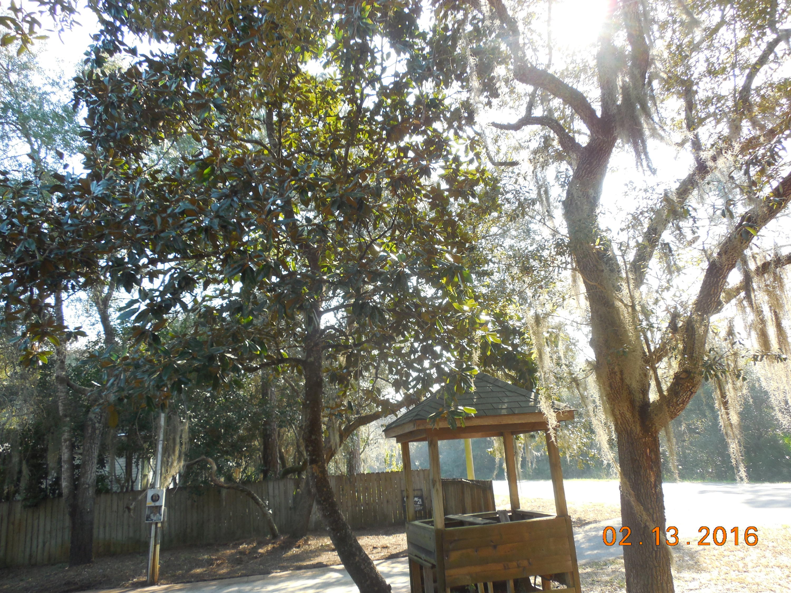 TURQUOISE BEACH - Land