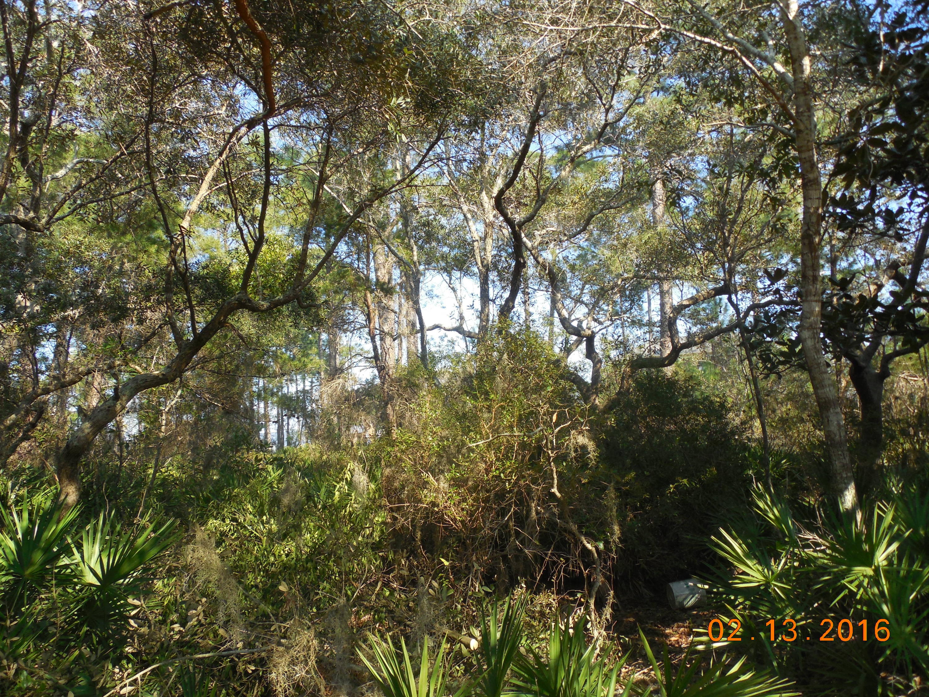 TURQUOISE BEACH - Land