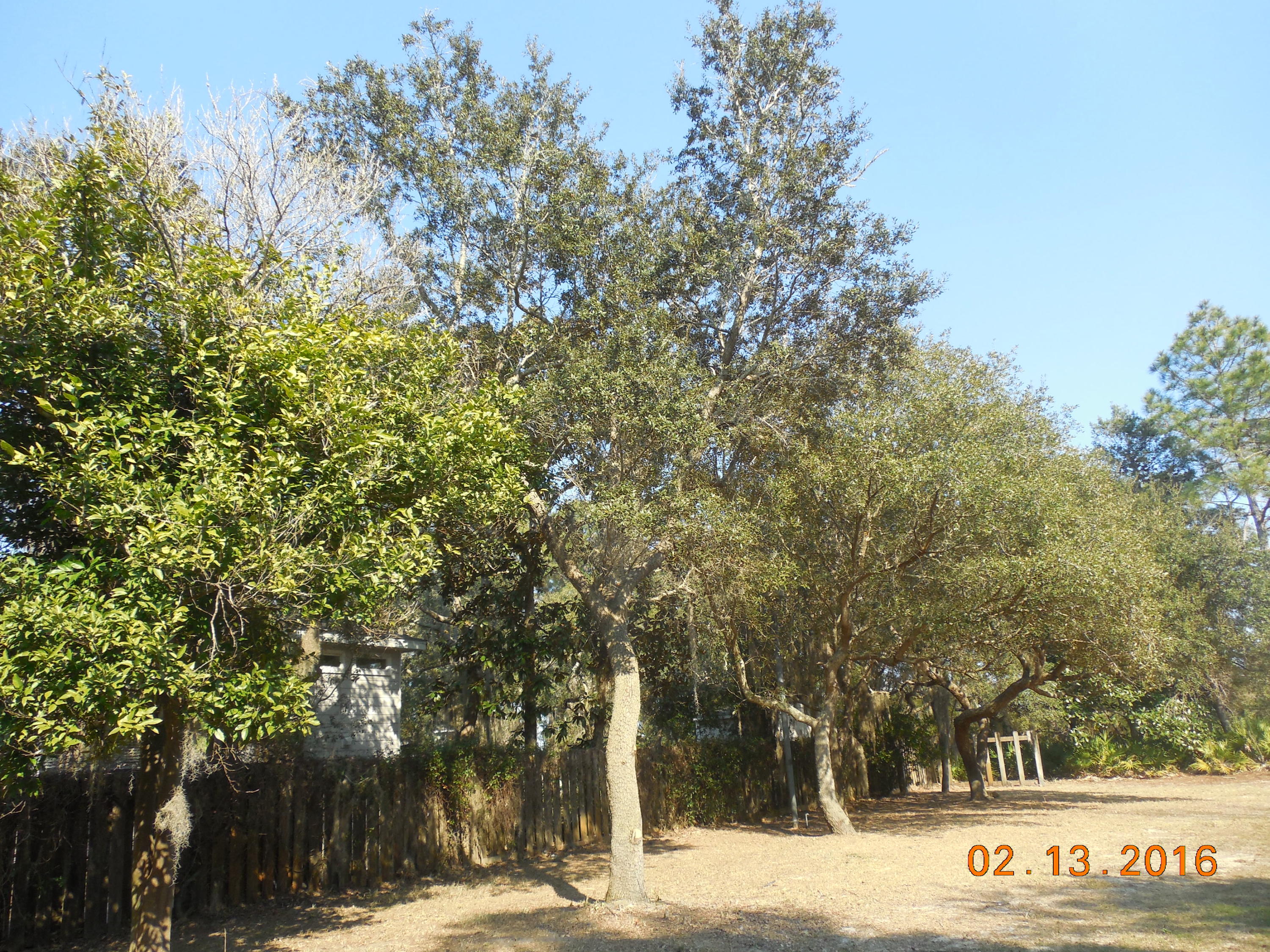 TURQUOISE BEACH - Land