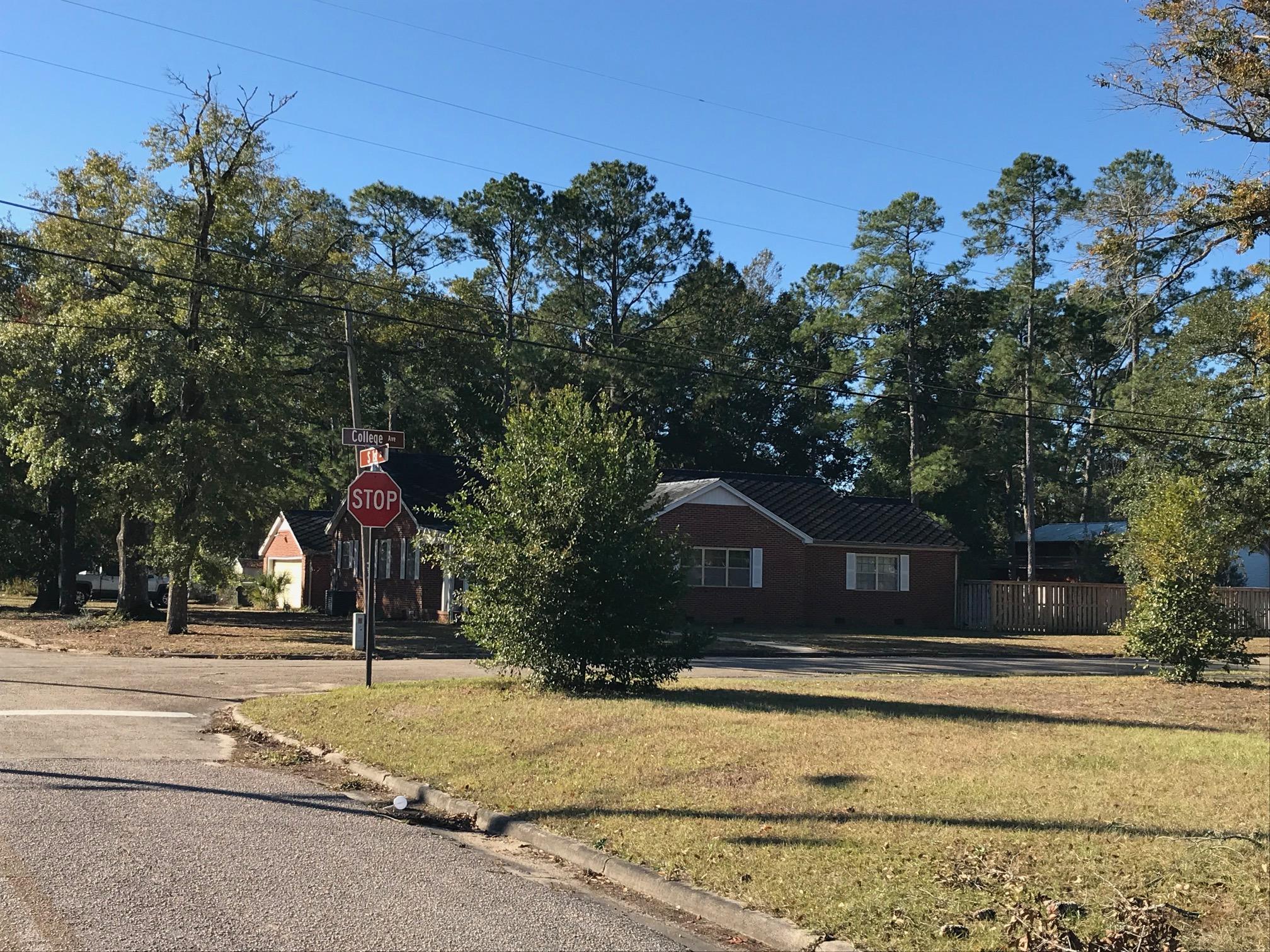 Main image without alt text