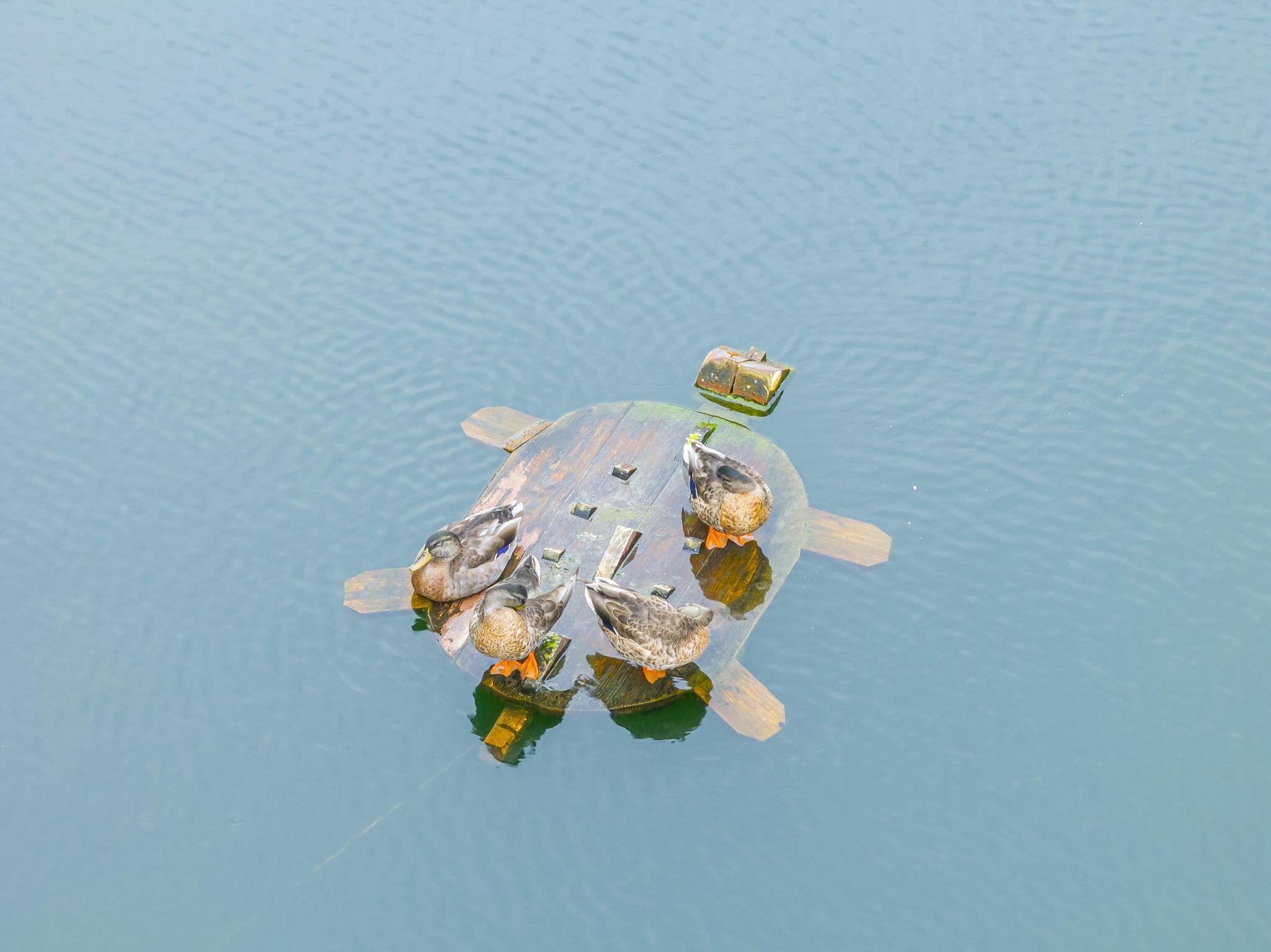 Plaza of St. Thomas - Residential