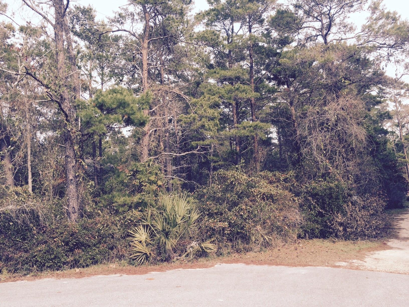 BEACH HIGHLANDS - Land