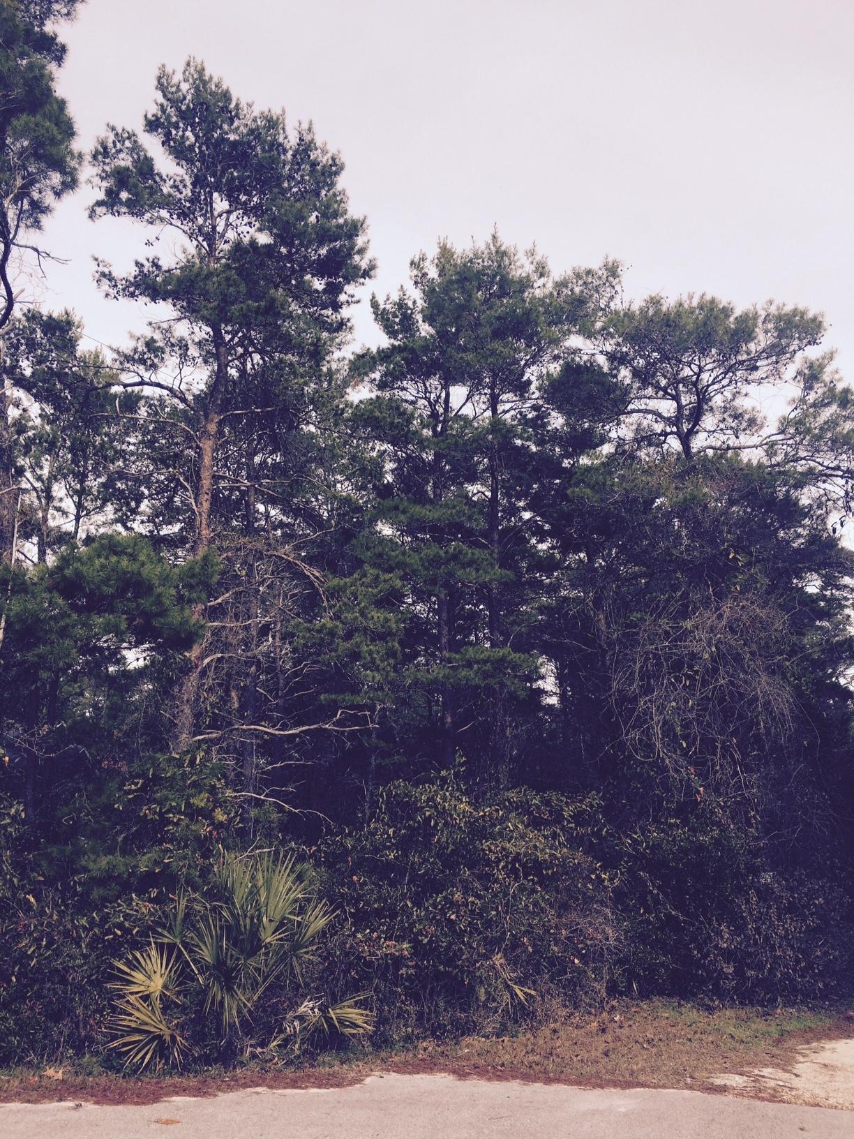 BEACH HIGHLANDS - Land