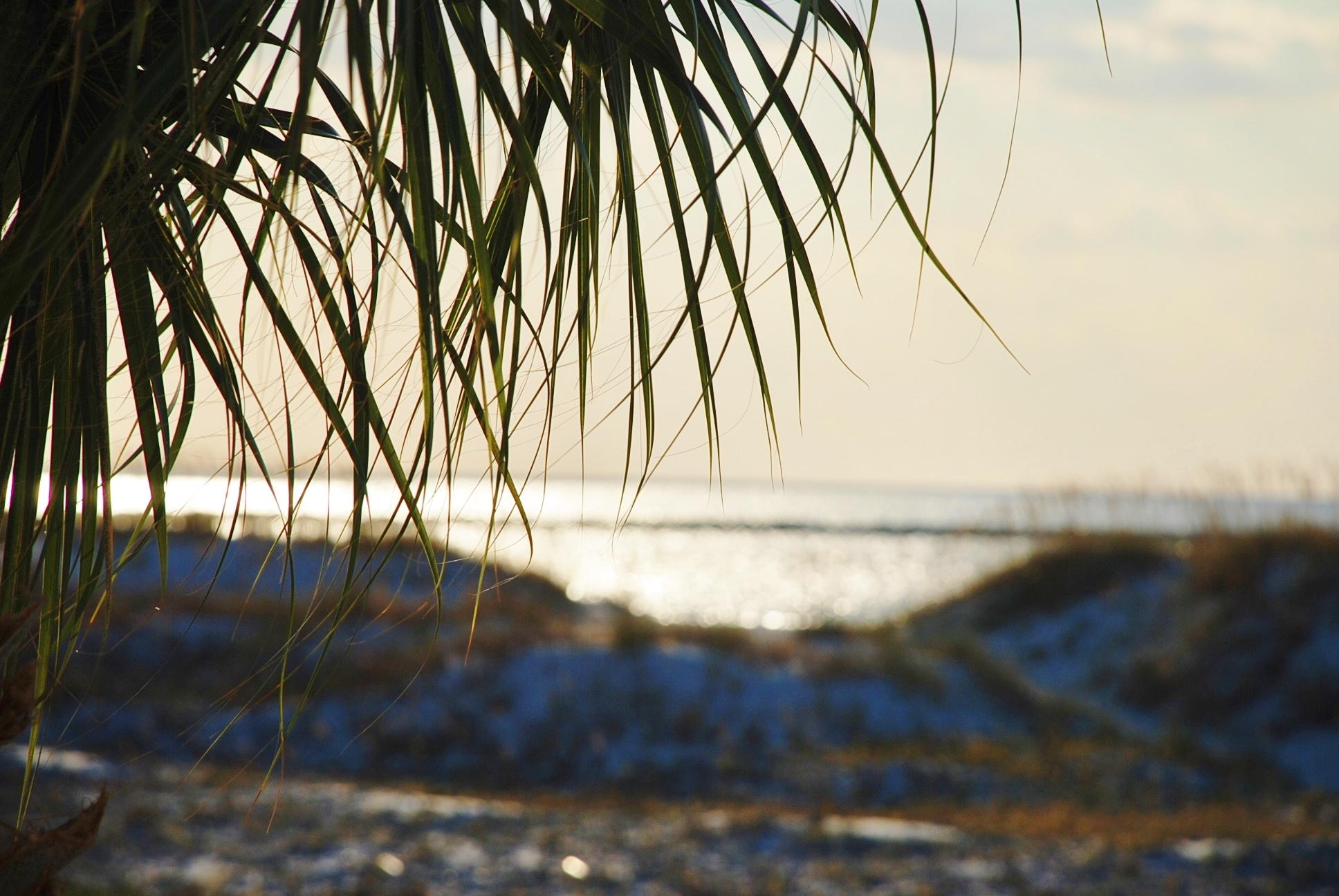 DESTIN POINTE - Residential