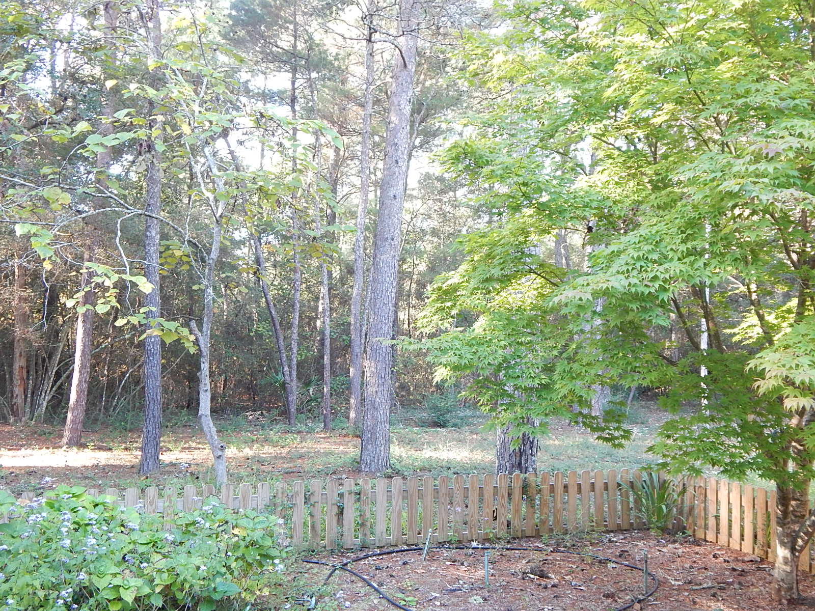 ROCKY BAYOU ESTATES - Residential