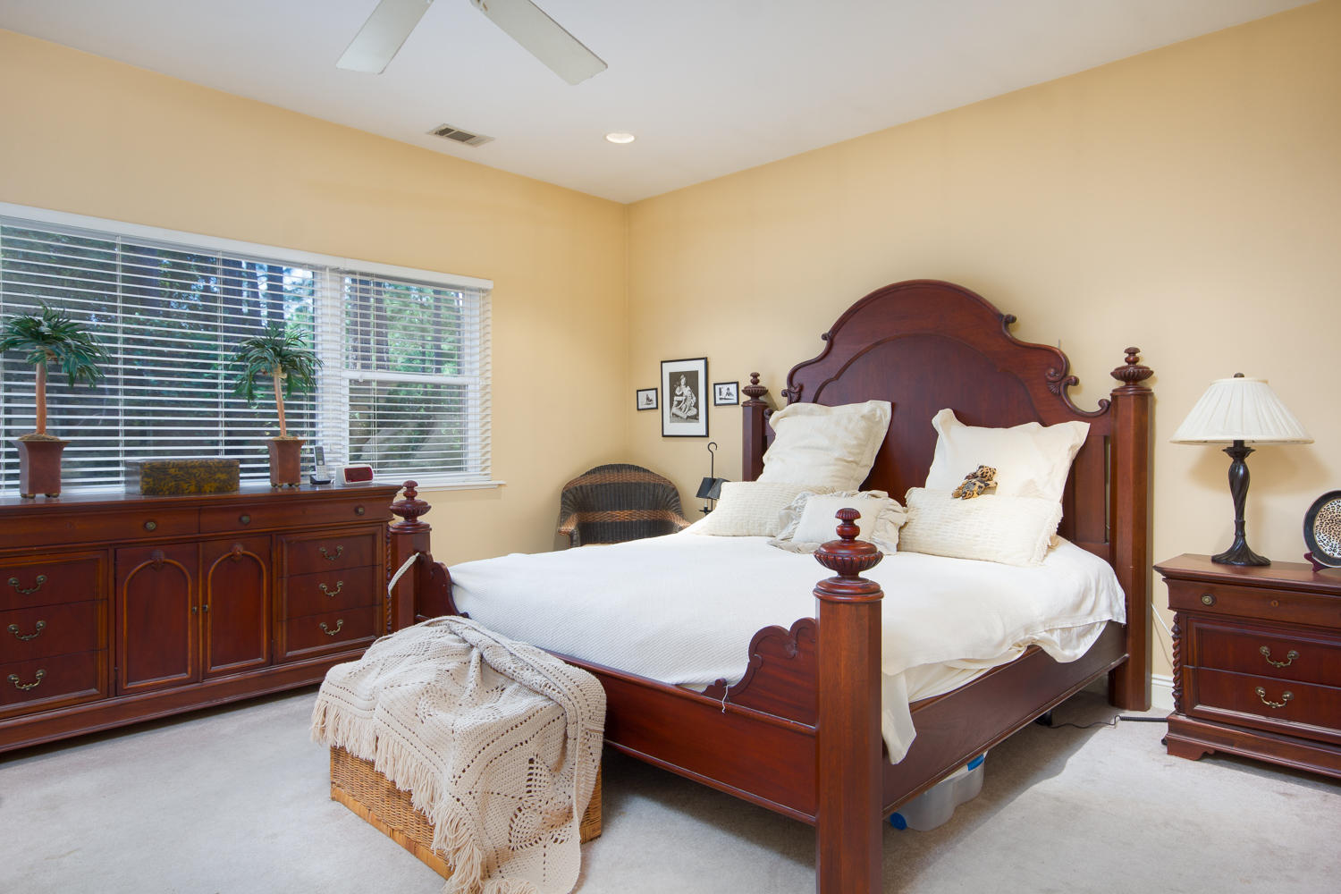 CANO ESTATES - Residential