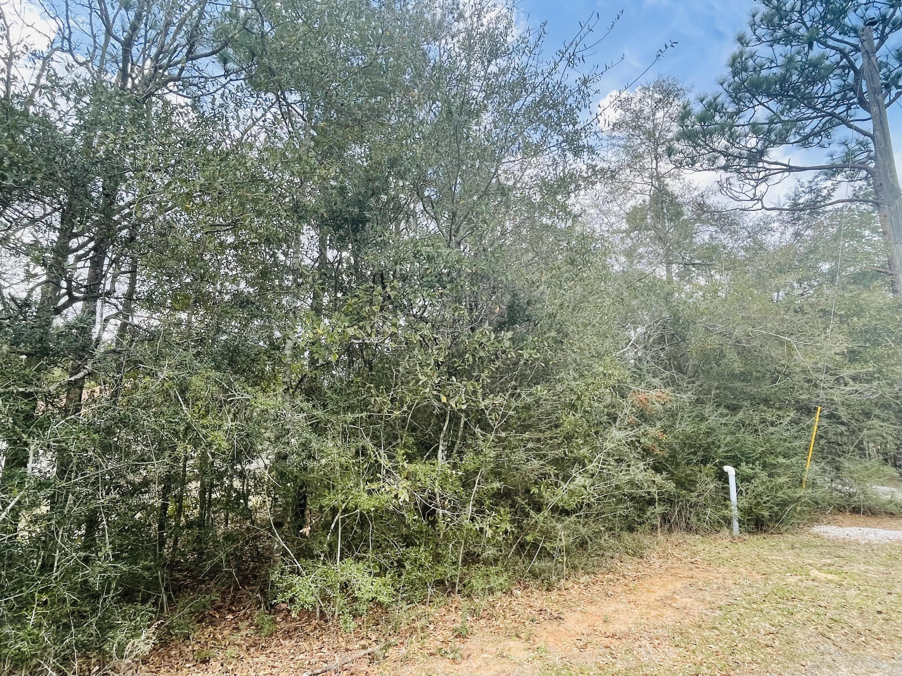 METES & BOUNDS - Land