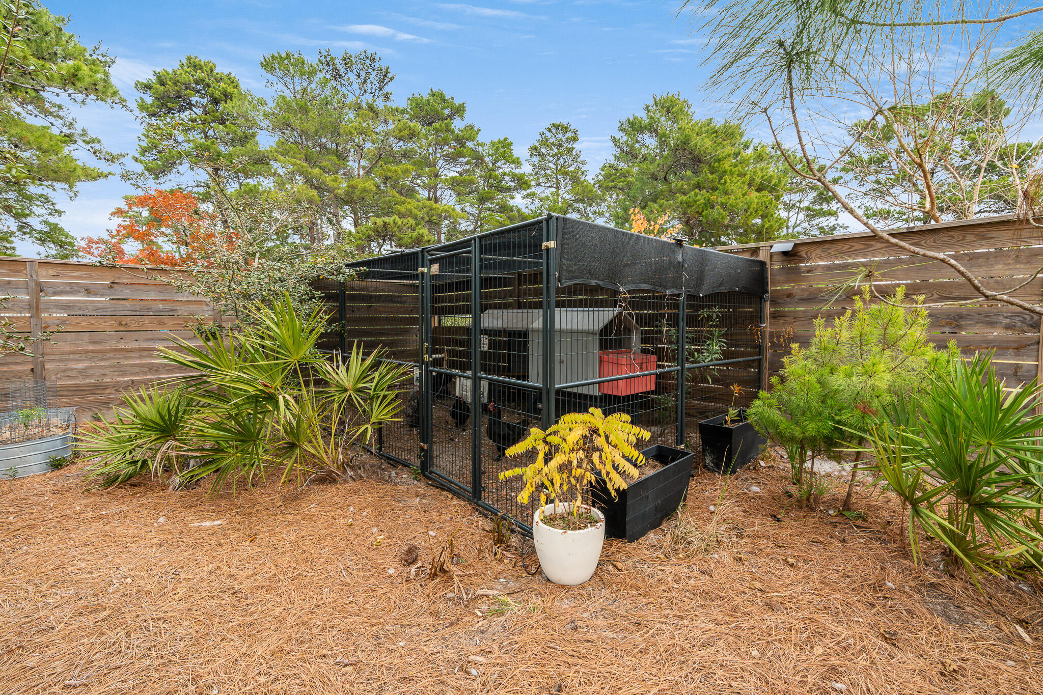 PINES OF BLUE MOUNTAIN - Residential