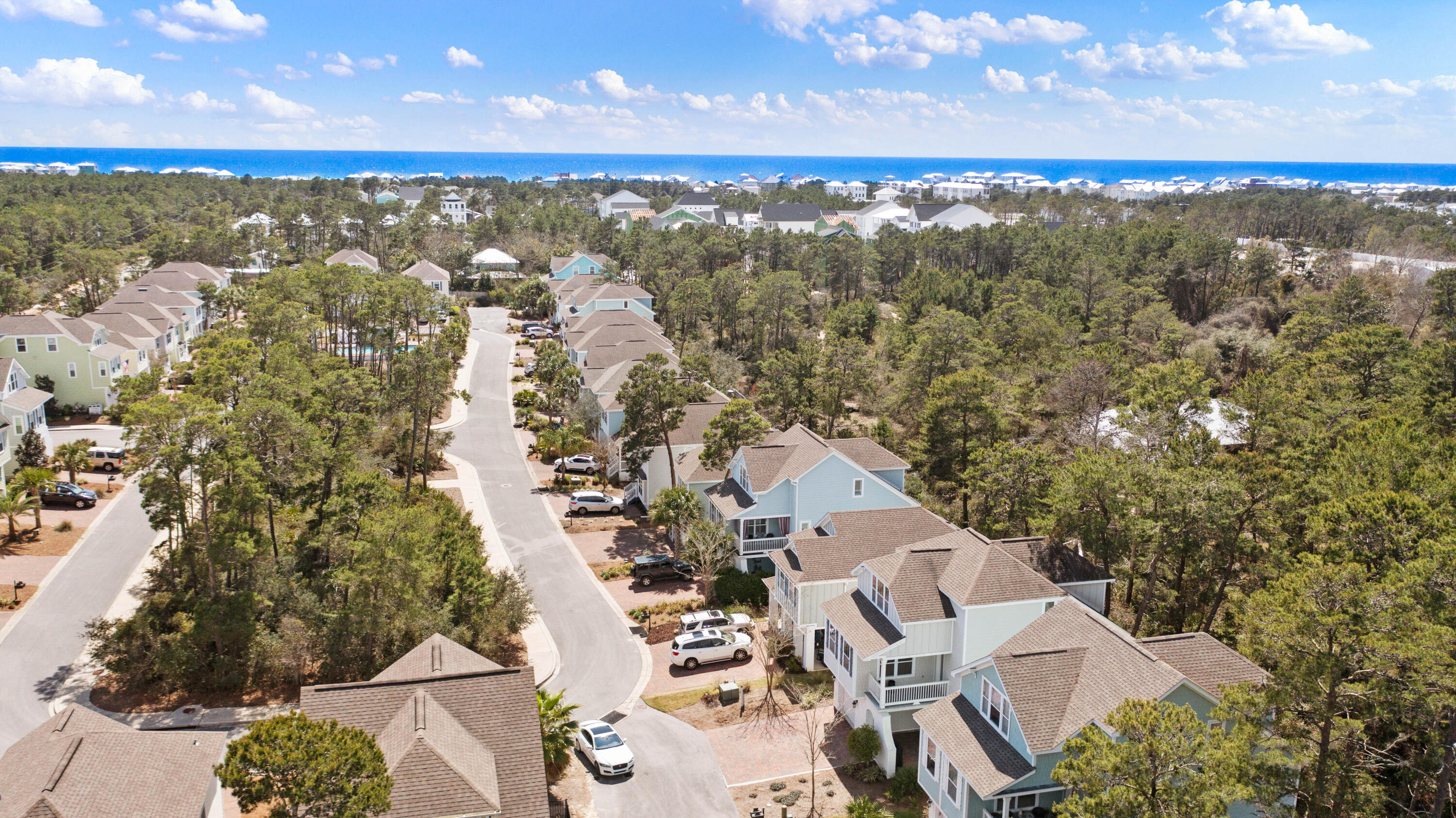 PINEWOOD PRESERVE - Residential