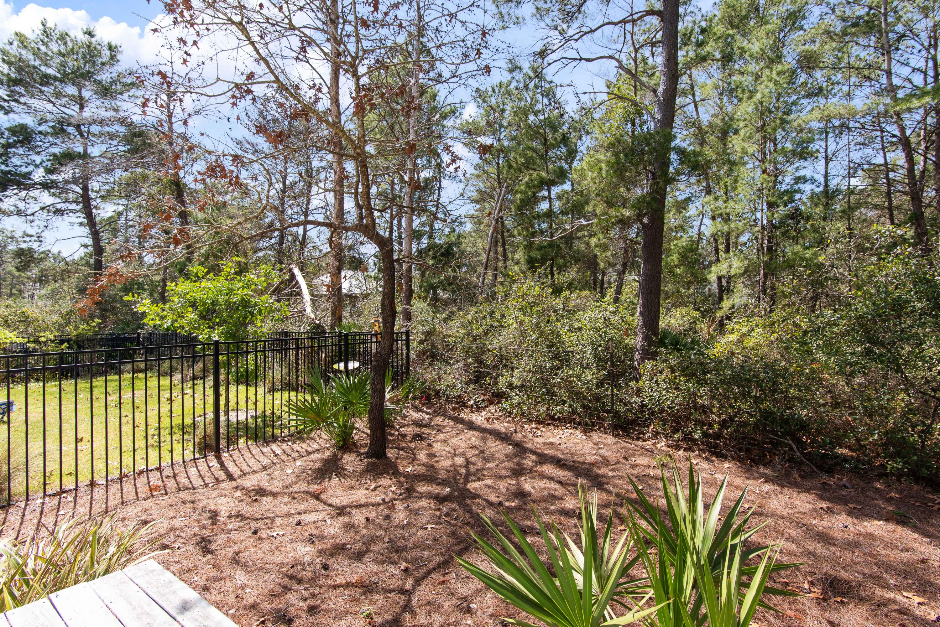 PINEWOOD PRESERVE - Residential