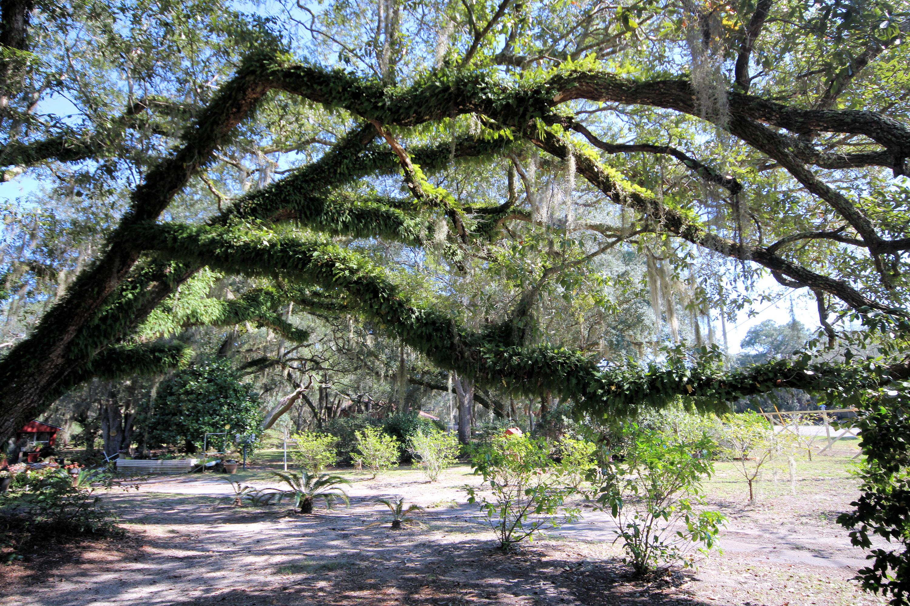 BASIN S/D - Residential