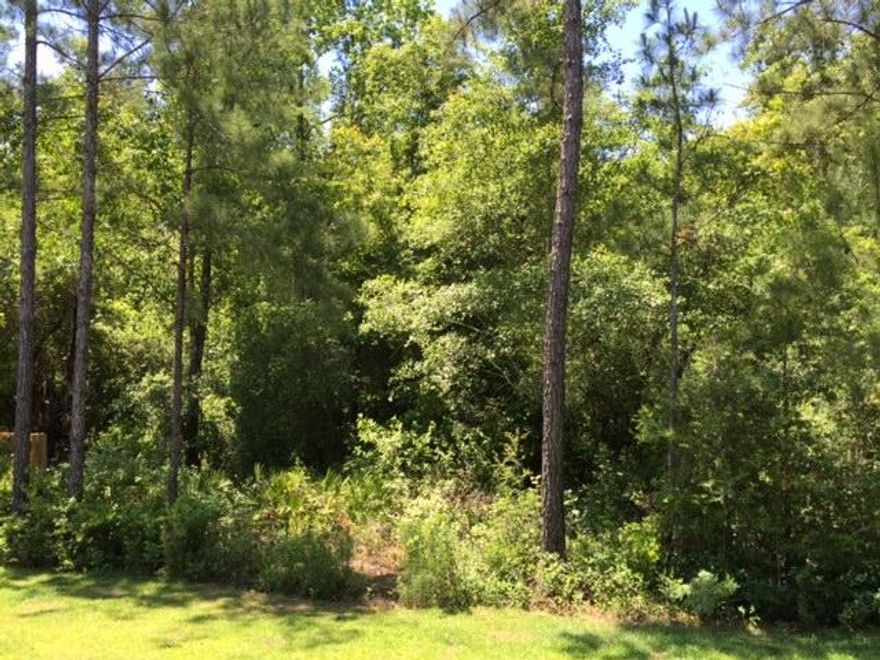 Beautiful Bayfront lot. Very private w/hardwoods. Conveniently located off Hwy 83A.