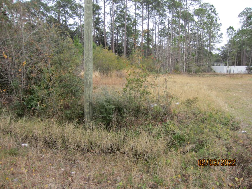 Excellent vacant lot on a paved road with public utilities available.  The lot is partially cleared and is ''high & Dry''.  Terrific location  near Cessna Landing where there are recreational opportunities such as a children's park, basketball and a picnic and boat landing dock. Only three miles from Ed Walline Beach Access that has lifeguards in season, beach parking, and restrooms.  Public water & Sewer is available on 393.