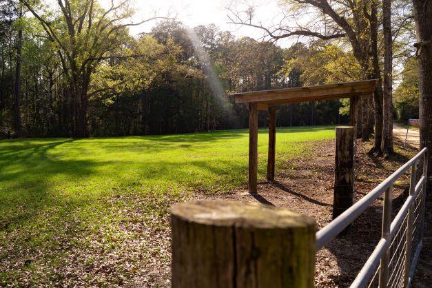 NORTH SUPERGROUP - Farm