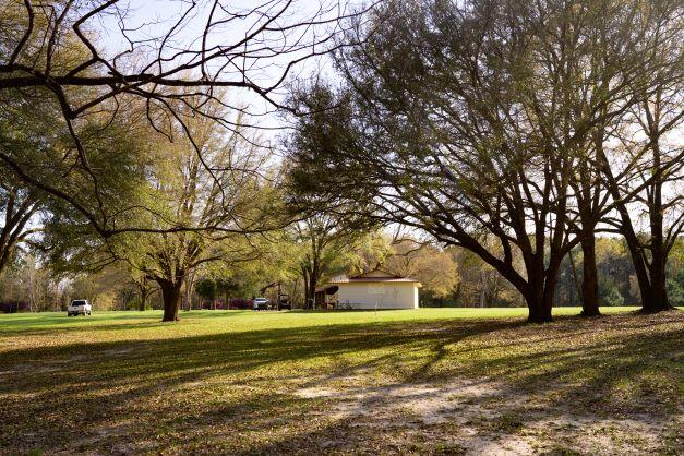 NORTH SUPERGROUP - Farm