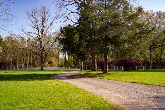 NORTH SUPERGROUP - Farm