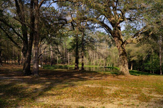 NORTH SUPERGROUP - Farm