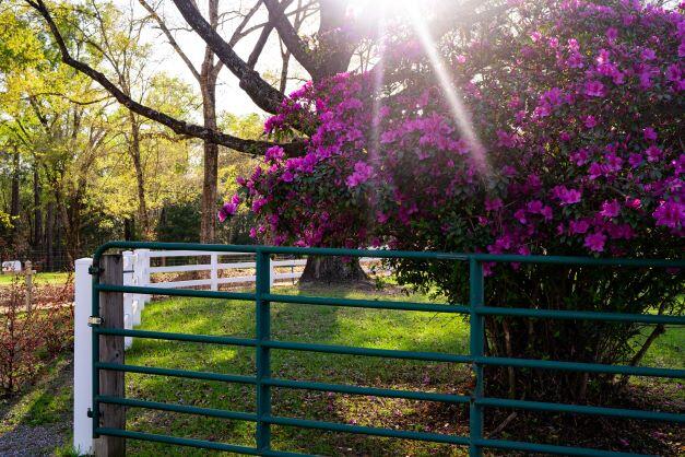 NORTH SUPERGROUP - Farm